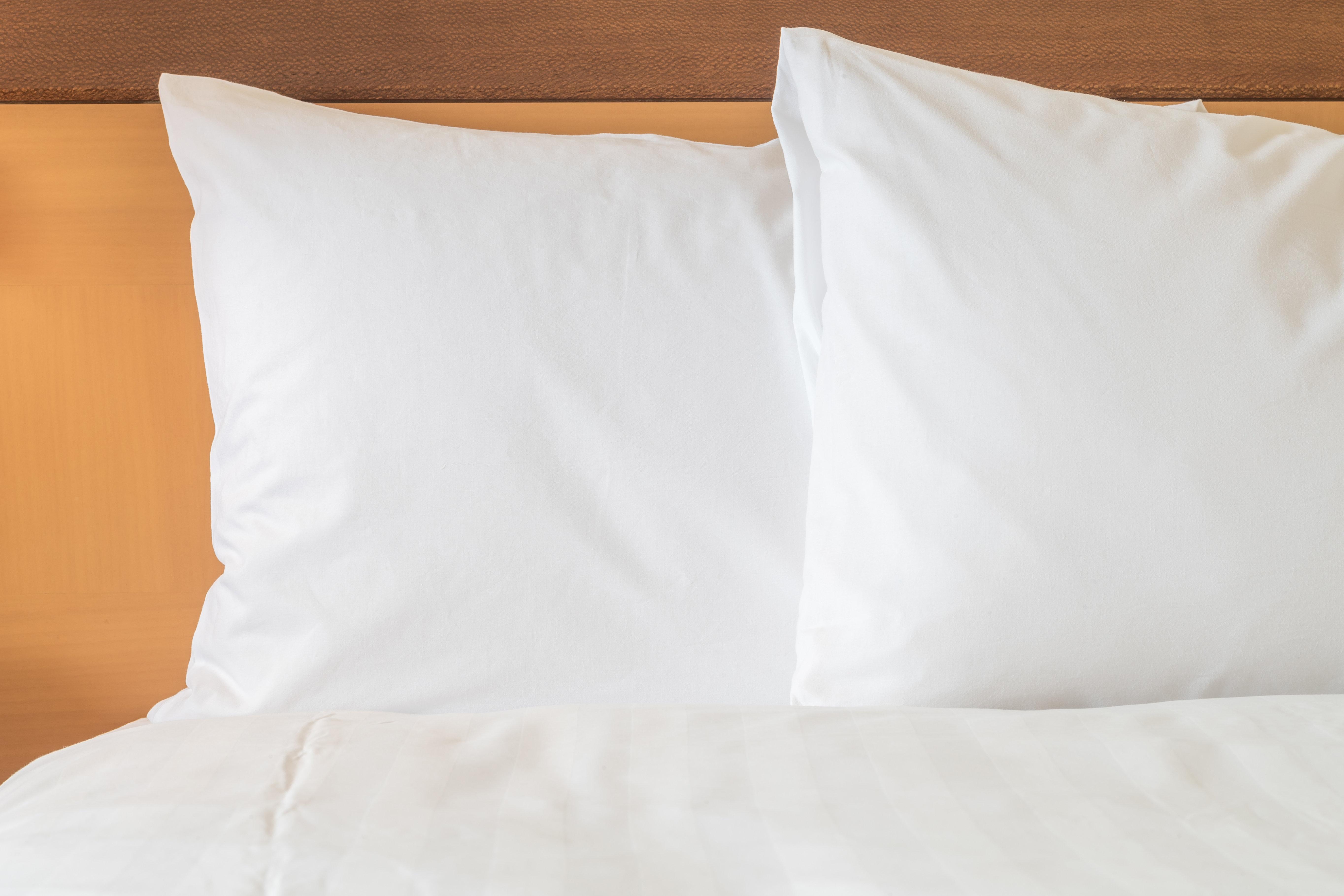 Holiday Inn Detroit Lakes By Ihg מראה חיצוני תמונה